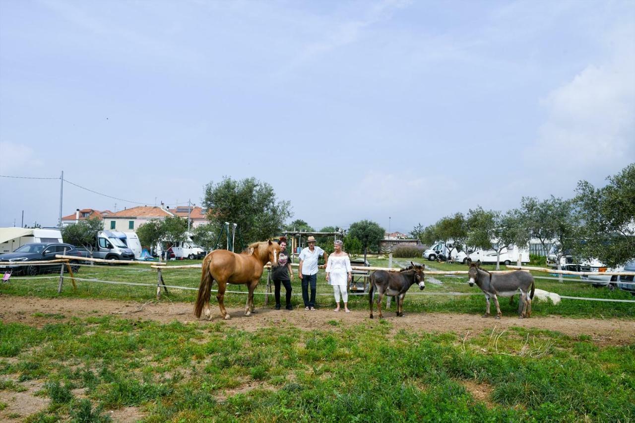 Casa Zafferano Guest House อัลเบงกา ภายนอก รูปภาพ